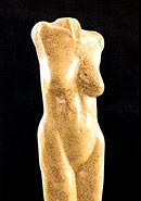 Female Torso - Polyphant