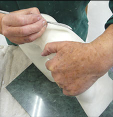 Sandra Treagus - Workshop